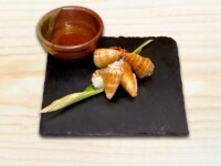 テラダ(チャンバラ貝)